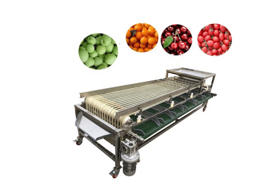 Sort Your Fresh Fruit with the Best Fruit Sorting Machine Solutions ...