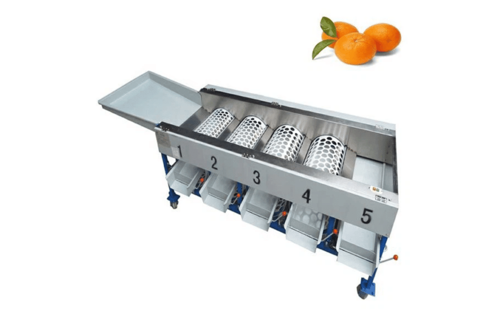 Sort Your Fresh Fruit with the Best Fruit Sorting Machine Solutions ...
