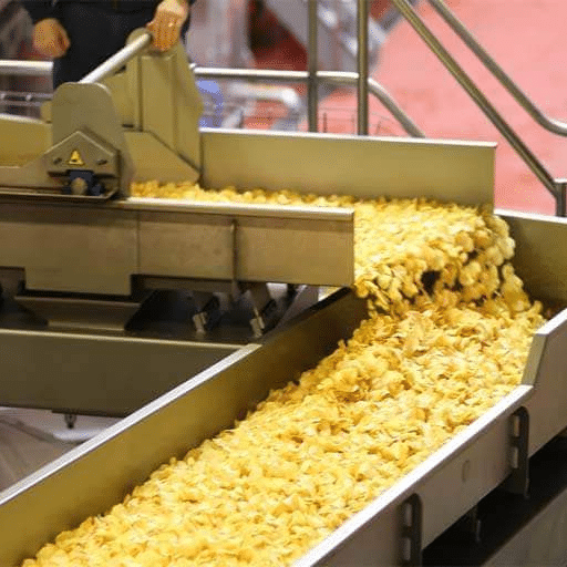 potato chip processing