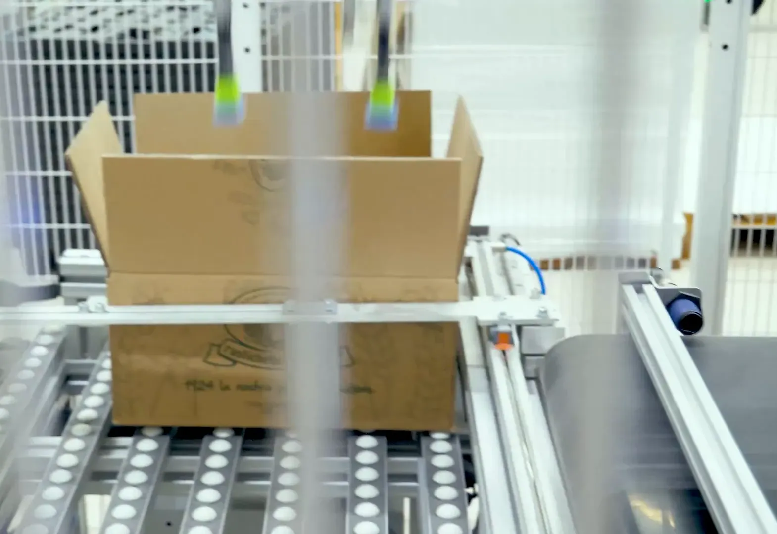 Quality control checks in a pasta factory