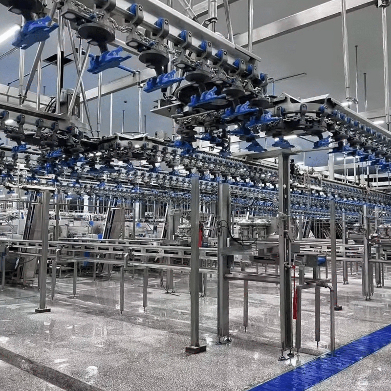 chicken processing line