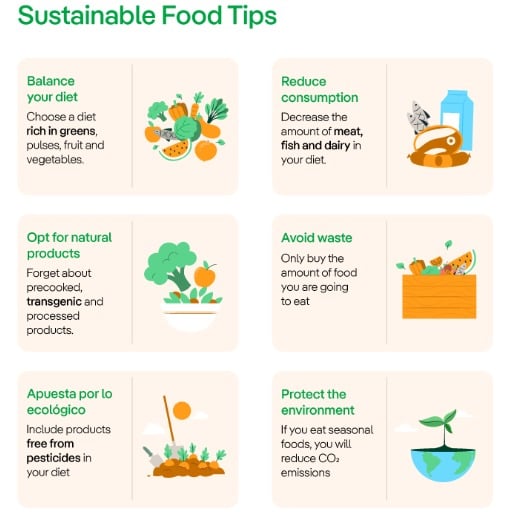 What Are the Solutions for a Sustainable Food Future?