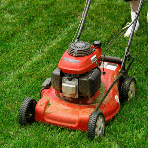 Exploring Different Types of Mulching Lawn Mowers