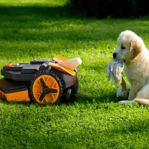 How to Set Up a Robot Mower_