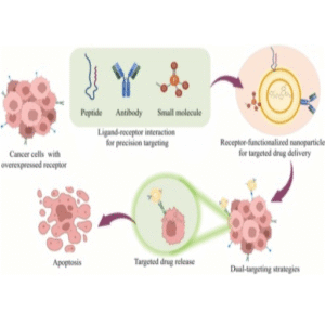 Unlocking the Potential of Cancer Prevention Pharmaceuticals