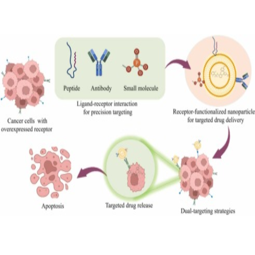 Unlocking the Potential of Cancer Prevention Pharmaceuticals