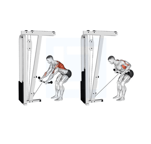 Insights from Fitness Experts