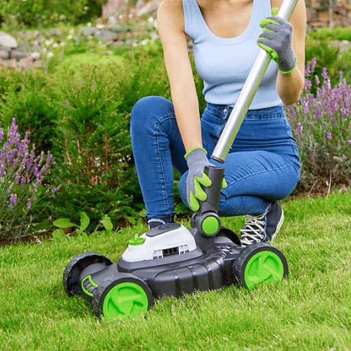 What is the Best Lawn Mower for a Small Yard