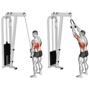 Benefits of Cable Pullovers
