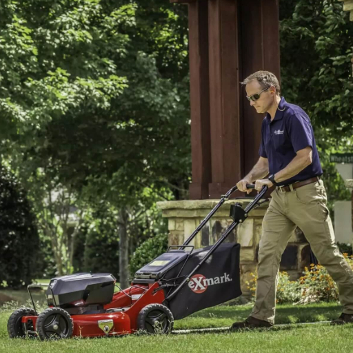 Choosing the Right Lawn Mower for Your Needs