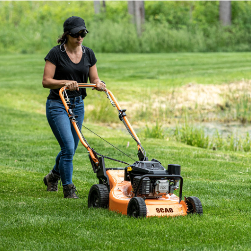 Top Push Mowers on the Market