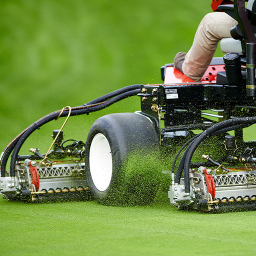 History and Evolution of Reel Motor Mowers