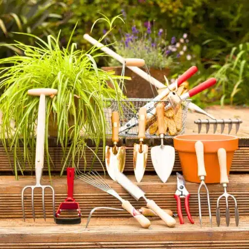 Essential Garden Tools for Every Yard
