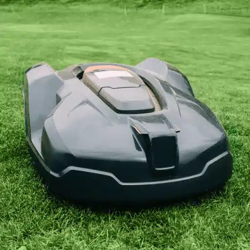 Choosing the Right Lawn Service