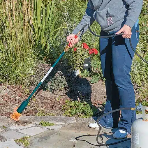 Common Types of Weed Burners
