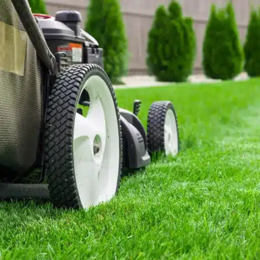 Cutting Grass for Winter