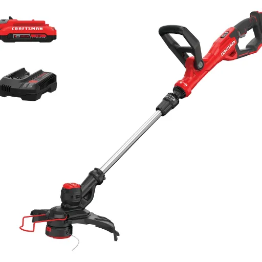Electric vs. Gas-Powered Options