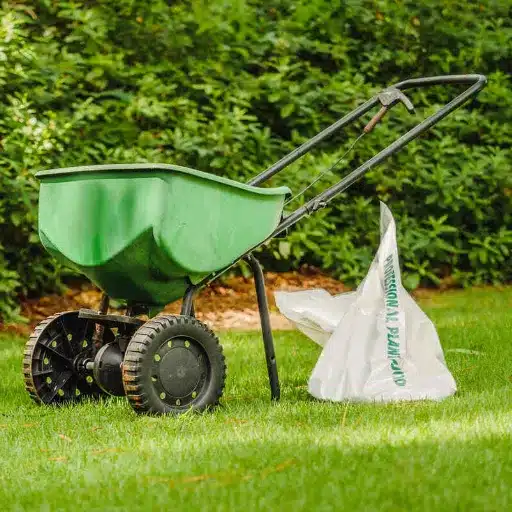 Expert Recommendations for Mowing and Applying Weed and Feed