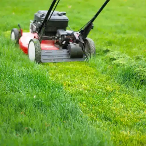 Factors Influencing When to Stop Mowing