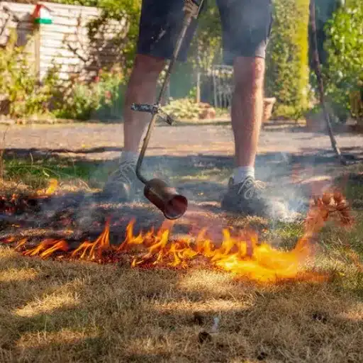 Features to Consider When Choosing a Weed Burner