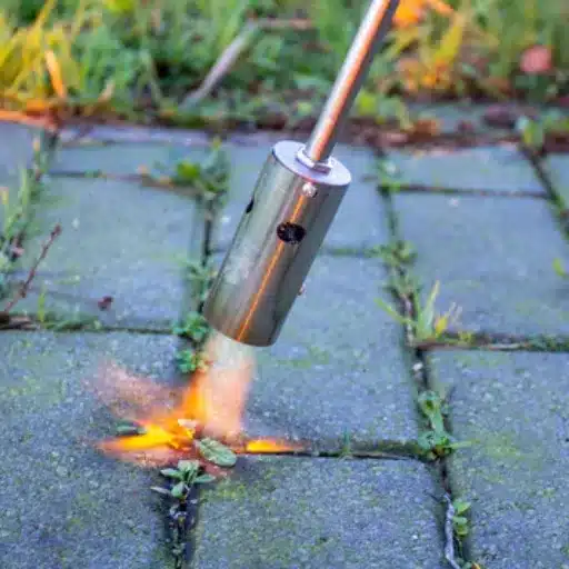 Final Thoughts on Flame Weeding