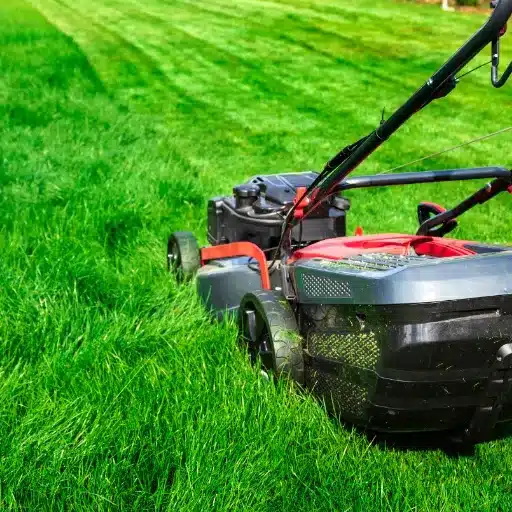 Grass Types and Mowing Strategies