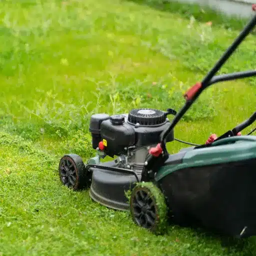 How to Effectively Mow Your Lawn Before Winter
