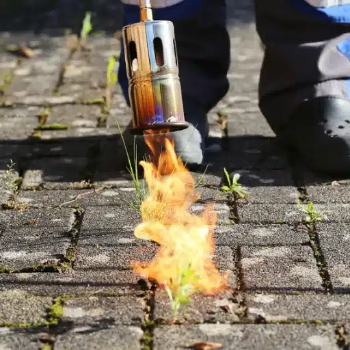 How to Use a Weed Burner Safely