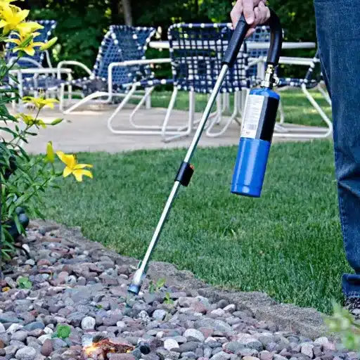 Introduction to Weed Burner