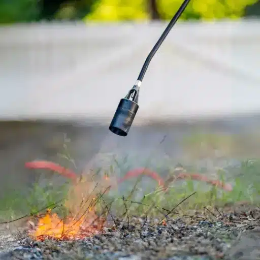 Introduction to Weed Torches