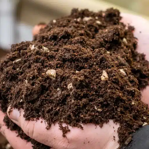 Key Components of a Living Soil Recipe