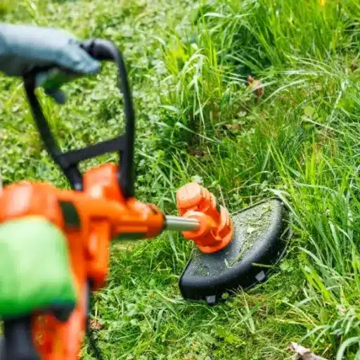 Maintenance Tips for Longevity and Optimal Performance
