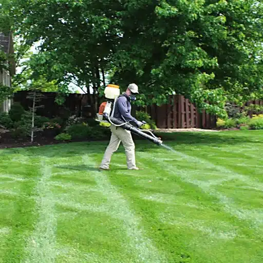Proper Lawn Care Practices