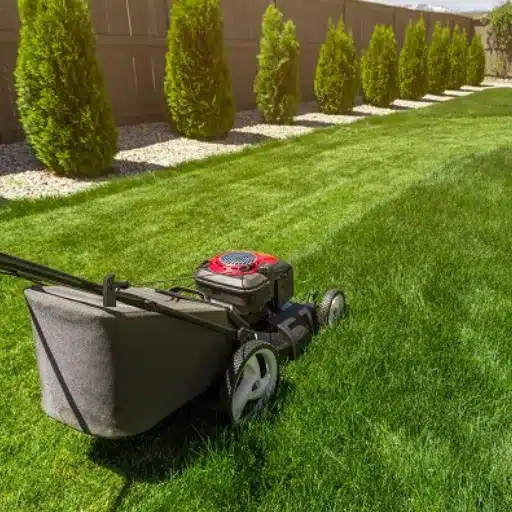 Signs It's Time to Stop Mowing Your Lawn