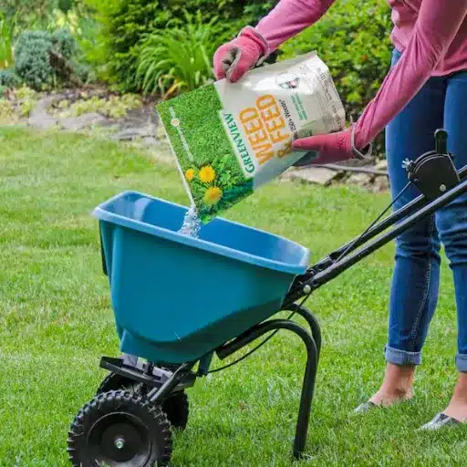 Step-by-Step Guide to Applying Weed and Feed
