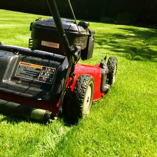 The Importance of Mowing Your Lawn Before Winter