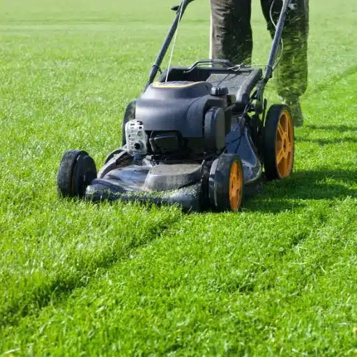 The Last Mow of the Season