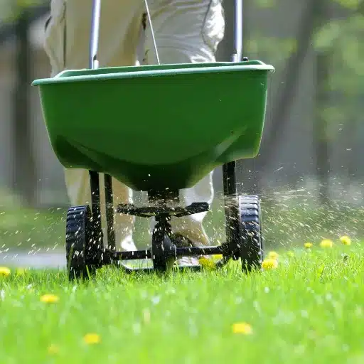 The Mowing Dilemma