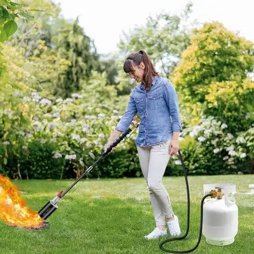 Types of Weed Burners