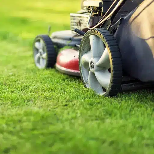 Understanding the Mowing Season