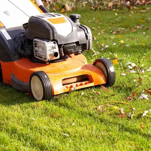 Winter Lawn Care Tips Post-Mowing