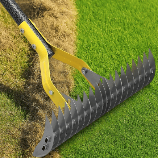 Step-by-Step Guide to Dethatching a Lawn