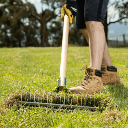 The Role of a Thatch Rake