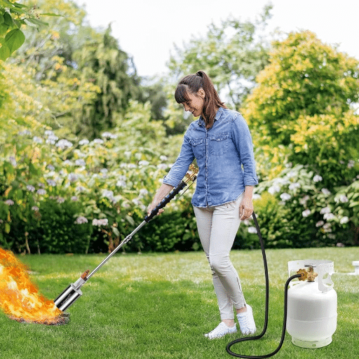 Understanding the Weed Torch